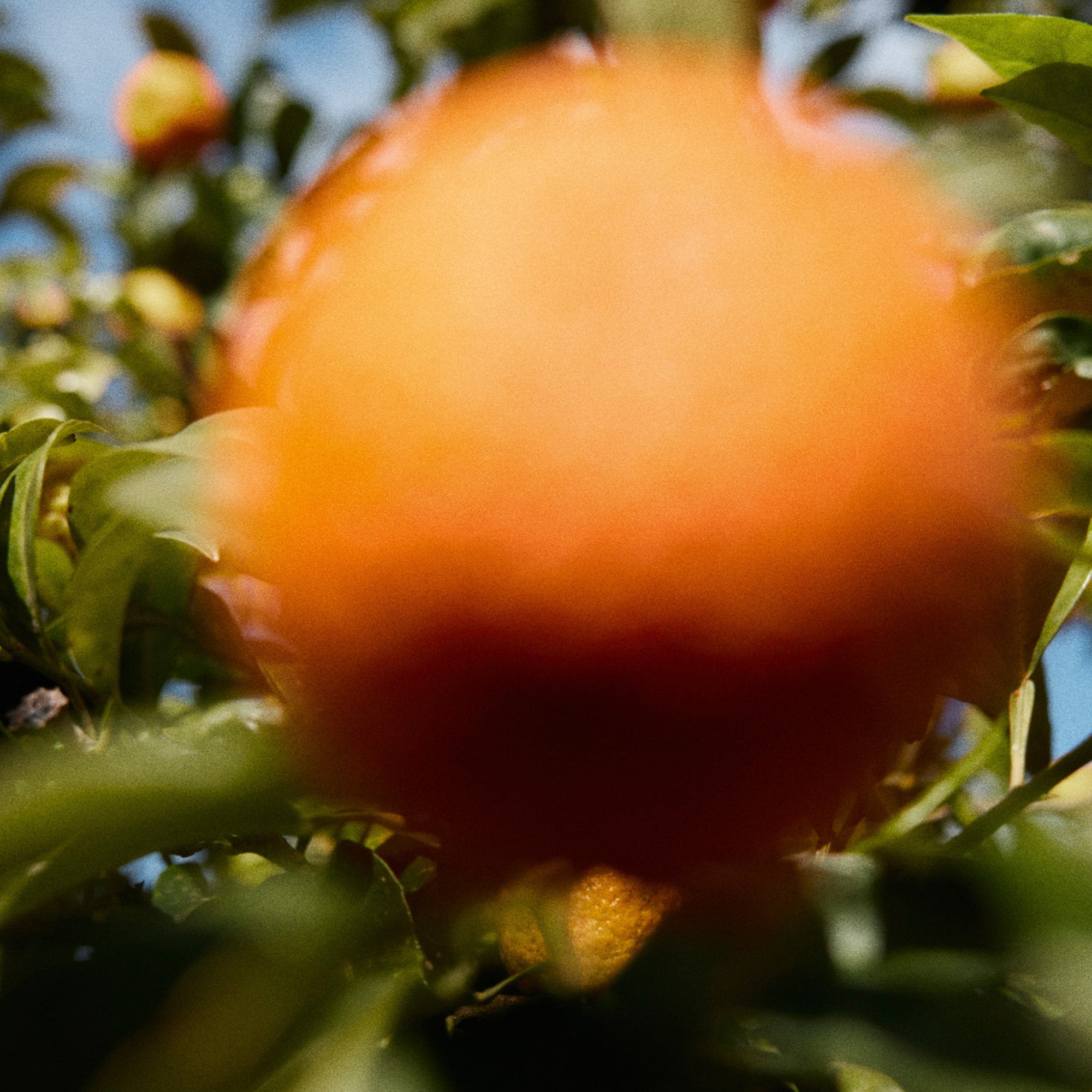 オープンアームズハンドウォッシュ