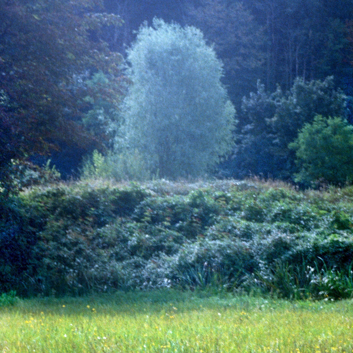 NONFICTION Parfum FOR REST Eau de Parfum