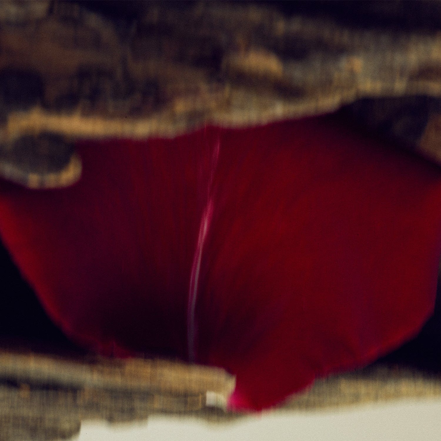 NONFICTION Parfum GAIAC FLOWER Eau de Parfum