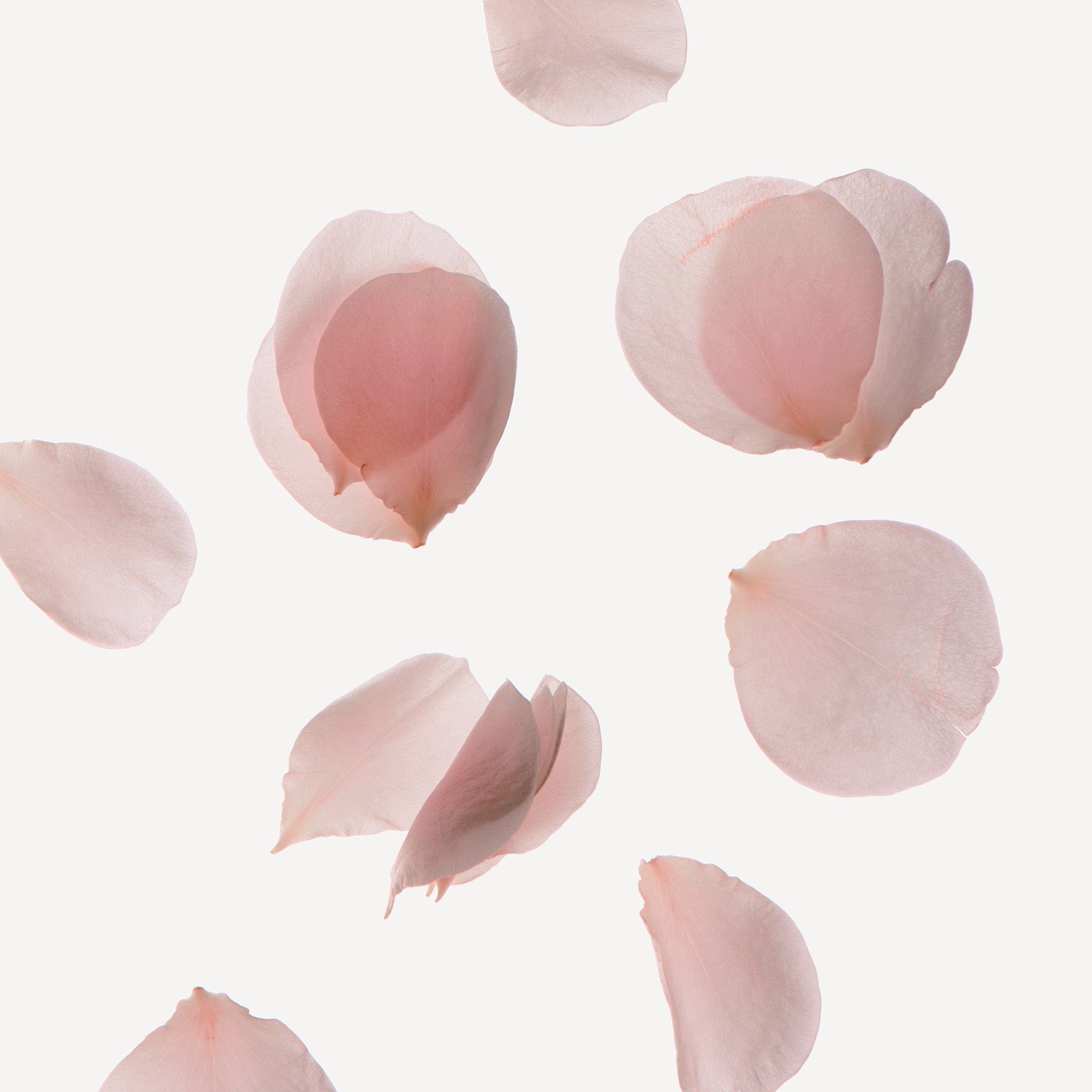 NONFICTION HAIR MIST 100ml ROSE PALE Hair Serum Mist 100ml