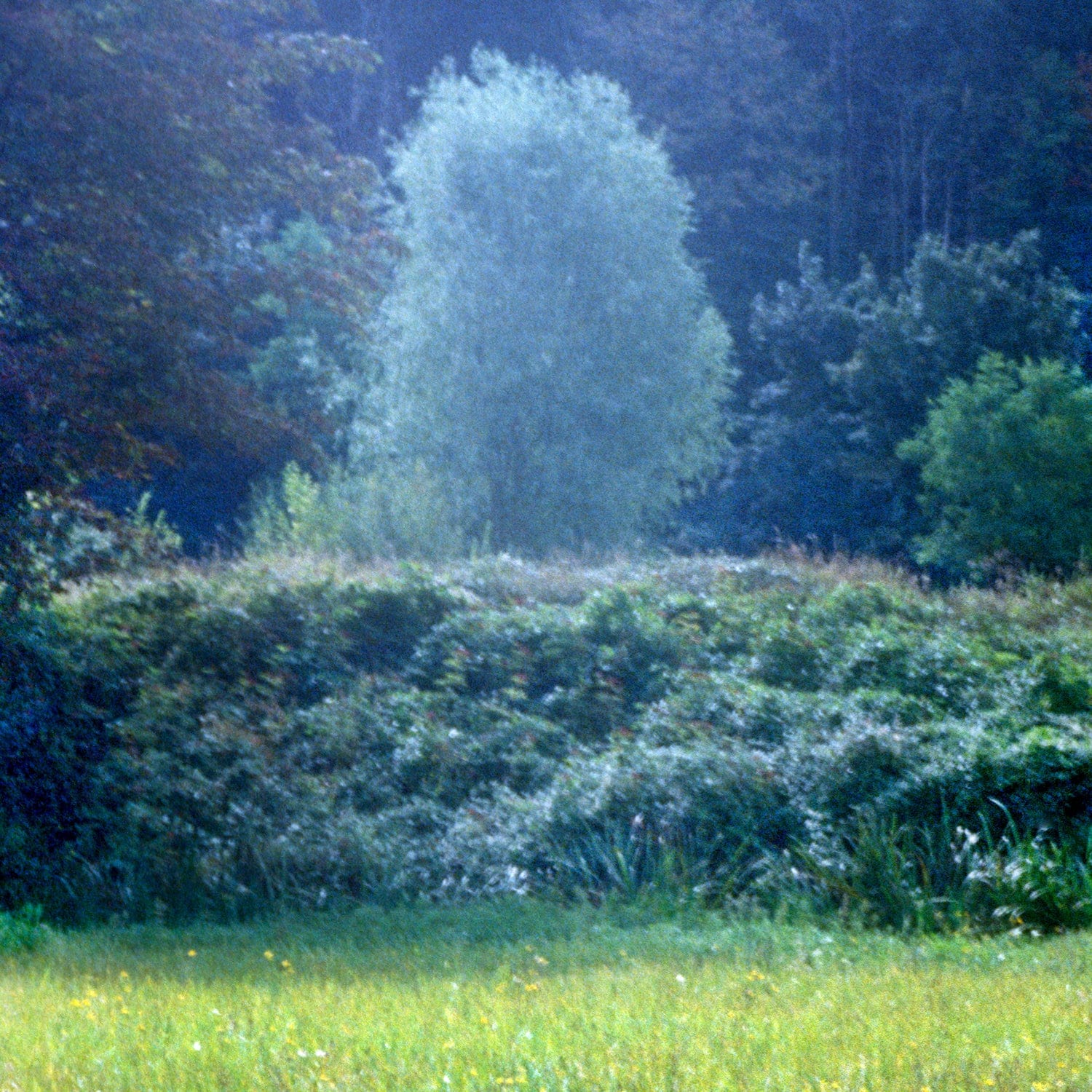 フォーレストオードパルファム FOR REST Perfume 100ml | NONFICTION